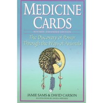 Medicine Cards: The Discovery of Power Through the Ways of Animals, St Martins Pr