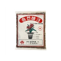 바크 (중) 분재용