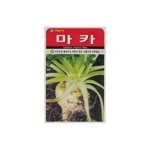 마카씨앗 100립