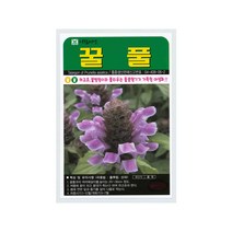 꿀풀씨앗 1000립