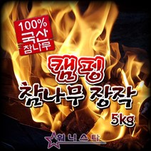 캠핑 참나무 장작 (5KG/10KG) 캠프 바베큐구이 숯불구이 장작, 1박스, 5kg