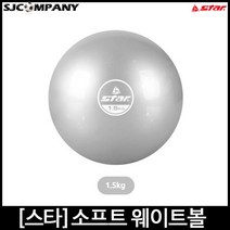 [스타스포츠] 소프트 웨이트볼 피트니스 운동볼 2개1set, 1.5kg