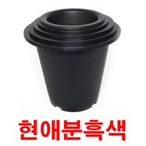 화분받침 플라스틱화분 물받침 CW현애분(흑색), 제품명