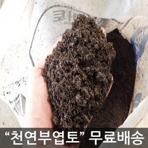 부엽토 천연부엽토 20kg 100프로 수목식재용 분갈이용 화단 정원 골프장 및 공원 잔디용등 천연토양개량제