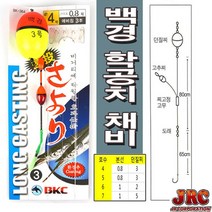백경 학공치 채비