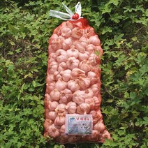 22년 헷마늘 남해마늘 저장용, 1개, 5kg(상품)