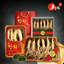 [강화초지인삼] 건강하게 키워낸 5년근 수삼 난발삼 모음, 1set, 16_5년근 난발삼 1채 500g (2~3뿌리)