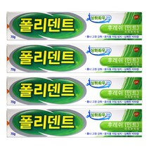 폴리덴트 의치부착재 후레쉬 민트 70g, 1개, 4개
