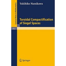 Toroidal Compactification of Siegel Spaces Paperback, Springer