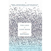 The Loss of Leon Meed Paperback, Scribner Book Company