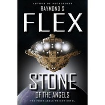Stone of the Angels: The First Arkle Wright Novel Paperback, Dib Books