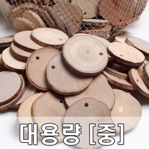 꾸미기만들기 (대용량) 그리기나무 (중) 구멍있음