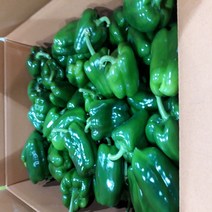 [맘스허브] 청피망1kg, 1팩, 1kg