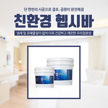 그린파크 헵시바 - 결로 곰팡이 습기 외풍 제거용 친환경페인트, 03.헵시바B 10kg