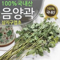 진도허브 청정 국내 국내산 강원도 산골 음양곽(삼지구엽초) 300g, 음양곽(삼지구엽초)300g