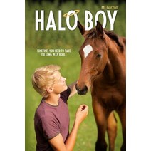 Halo Boy Paperback, Petal Press