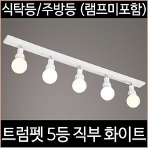 동성 LED 트럼펫 5등 37.5W 흑색, 주광색(하얀빛), 램프포함