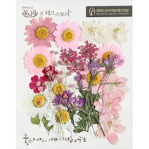 체크스토리 압화꽃모음 압화 공예 압화편지 드라이플라워, A_09_미니핑크