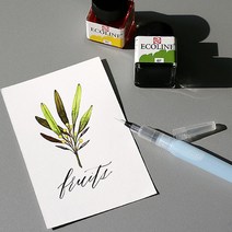 로얄탈렌스 에코라인 캘리그라피 수채화 잉크 48색, 레드 브라운
