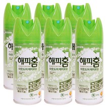 해피홈 아웃도어 에어 150ml, 6개