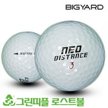 빅야드 네오 디스턴스 2피스 B+급 로스트볼 16개