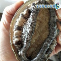 완도활전복 2kg중대 4인분 kg당 12~17미, 1개, 전복2kg대(12~14미/kg)4인분