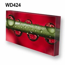 몽차 와이드 캔버스액자, WD424, 1개