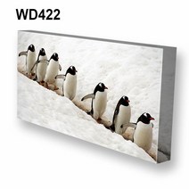 몽차 와이드 캔버스액자, WD422