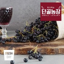 프레시데이 고창 프리미엄 아로니아 냉동생과, 1박스, 10kg