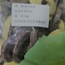 중국 영지버섯 1kg 자연산영지버섯, 1개