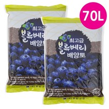 화분월드 정한 블루베리 (최적의 배양토) 35L 2개, 정한 블루베리 배양토 35리터 2개