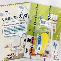 사이언스존 [꿈과-인체의 비밀-치아 1인용] 과학실험키트 학습교구세트