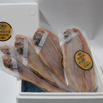 행복한남진수산 참박대, 10마리, 23cm(60g)내외