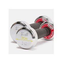 스타스포츠 도금아령 2kg 2개 (총4kg) (10kg까지묶음가능)