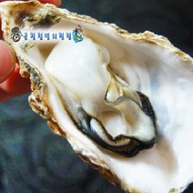 통영정품 브러쉬세척 석화굴10kg 각굴 찜구이 당일출하, 1개, 석화3kg+가리비1kg(3인 구이찜결합세트)