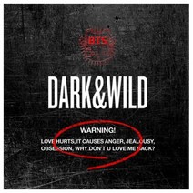 1CD_방탄소년단(BTS)-정규1집[DARK&WILD]/랩몬스터/슈가/진/제이홉/지민/뷔/정국