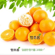 나혼자 잘~산다 함초롬 제주황금향 3kg[13-15내], 1박스, 3kg 10-12내