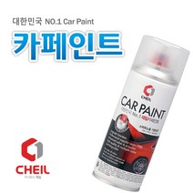 (주)제일 액티언스포츠 스페이스블랙 LAK 쌍용카페인트52