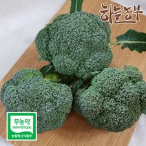 하늘농부 친환경 브로콜리 1입, 1봉