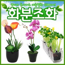 호가 화분조화 호접란 장미 인테리어 조화 화분 장식, 토피어리 화분조화-A형타입1(+1000원)