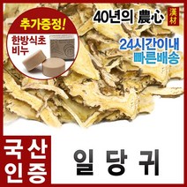 자애인 국산 일당귀 300g 당귀차 당귀 강원진부, 단품