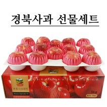 [실속선물세트] 경북 햇사과 5kg 선물세트 실속형, 1박스, 04.사과 선물세트 5kg 명품고급형 (10~12과)
