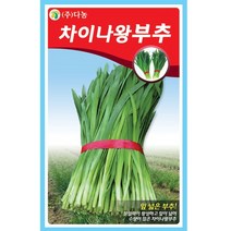 갑조네 잎줄기채소 씨앗 모음, 차이나왕부추(씨앗), 1개