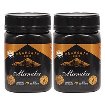 에그몬트 마누카허니 UMF15+ 500g 2통, 2개