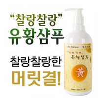 강서화학 닥터윤 유황온천욕 유황샴푸500g /린스필요없는 샴푸, 1개