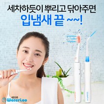 (특가행사)워터루 직수형 구강세정기 WL-300, 단품