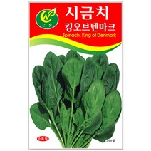 치커리 씨앗 1500립 / 채소씨앗 상추씨앗 쌈채소 씨, 16_시금치킹오브덴마크(1300립)