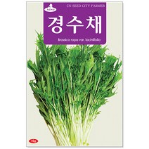 청농종묘 율무 씨앗 50립 율무씨앗 율무씨 씨, 25_경수채(15g)