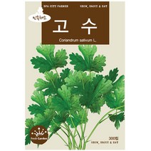 청농종묘 여주 씨앗 10립 여주씨 여주씨앗 씨 식물여주, 16_고수(300립)