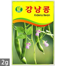 강낭콩 2g - 콩 씨 씨앗 강낭콩씨앗 강남콩씨앗 강낭콩씨, 01_청농_강낭콩(2g)